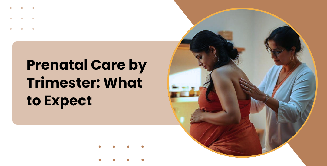 What Happens During Each Trimester of Prenatal Care?