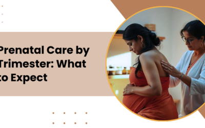 What Happens During Each Trimester of Prenatal Care?